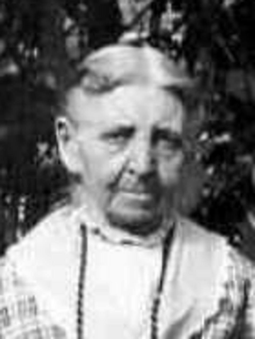 Adelaide Cooper (1851 - 1935) Profile